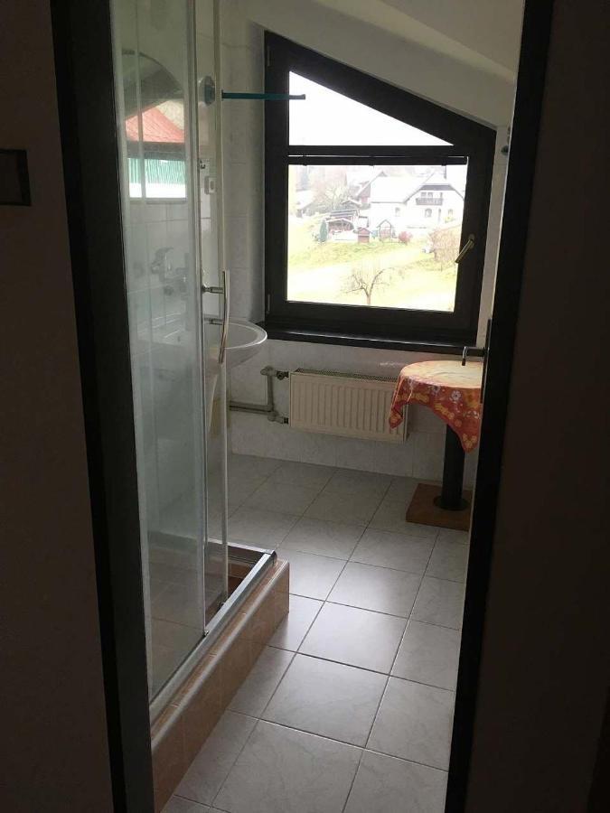 Appartement Apartman - Rokytnice Nad Jizerou Extérieur photo